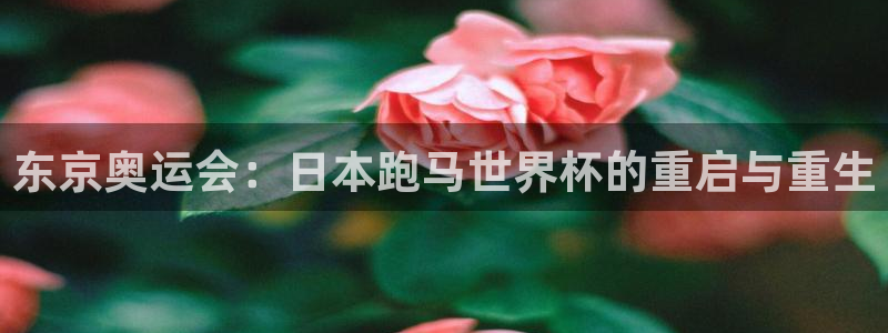 世界杯足球赛：东京奥运会：日本跑马世界杯的重启与重生