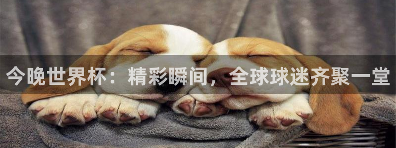 2026世界杯欧洲预选赛赛程表：今晚世界杯：精彩瞬间，全球球迷齐聚一堂