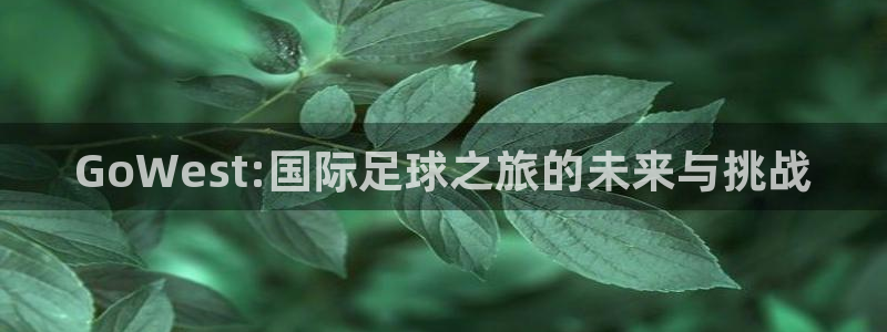 欧联杯直播：GoWest:国际足球之旅的未来与挑战