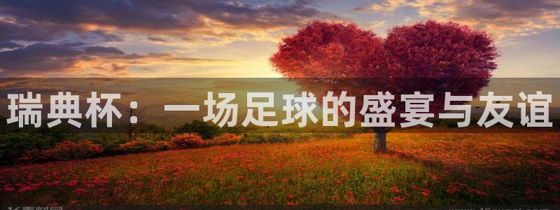 世界杯女足直播：瑞典杯：一场足球的盛宴与友谊