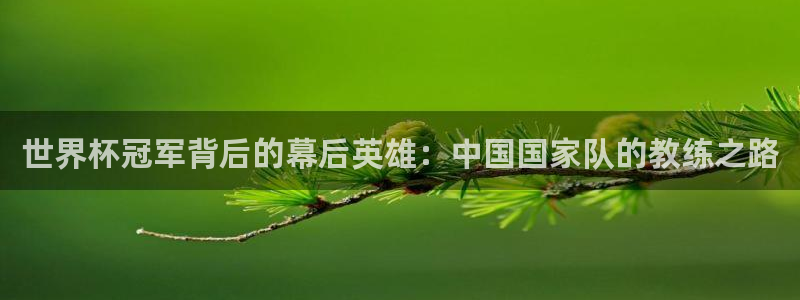 国际足联世界杯：世界杯冠军背后的幕后英雄：中国国家队的教练之路