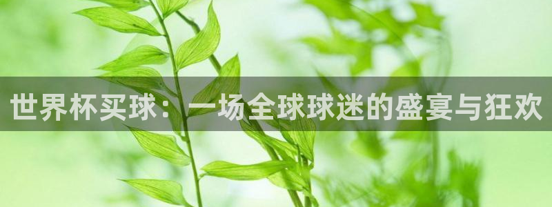 亚洲区世界杯预选赛：世界杯买球：一场全球球迷的盛宴与狂欢