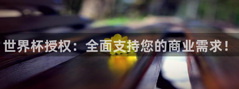 世界杯亚洲区预选赛：世界杯授权：全面支持您的商业需求！