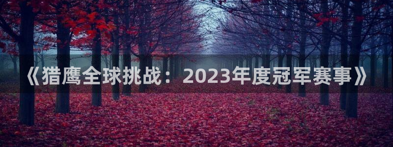 世预赛赛程表：《猎鹰全球挑战：2023年度冠军赛事》