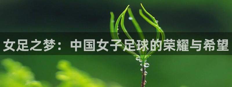 世预赛免费直播入口：女足之梦：中国女子足球的荣耀与希望