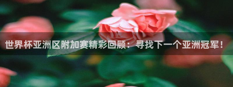 世界杯女足直播：世界杯亚洲区附加赛精彩回顾：寻找下一个亚洲冠军！