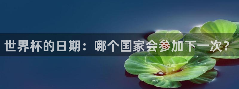2026世界杯赛制：世界杯的日期：哪个国家会参加下一次？