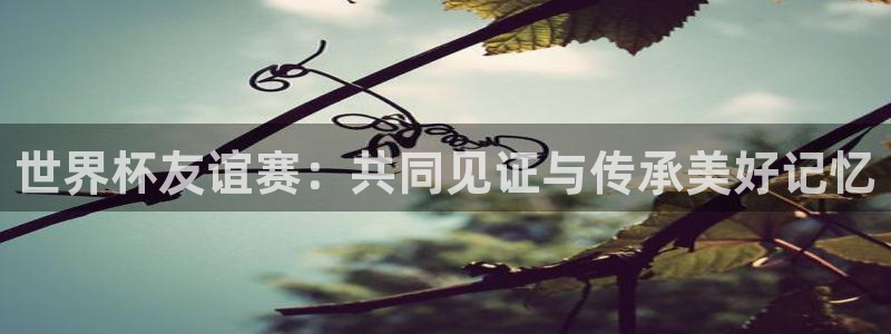 2026世界杯南美区积分榜：世界杯友谊赛：共同见证与传承美好记忆
