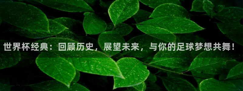 世界杯直播高清：世界杯经典：回顾历史，展望未来，与你的足球梦想共舞！