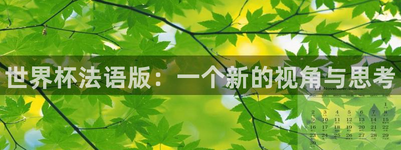 世界杯2026赛程时间表格：世界杯法语版：一个新的视角与思考